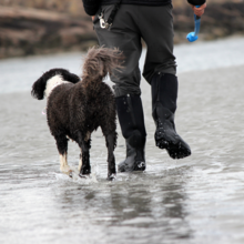 Re:You - Staying motivated this winter image